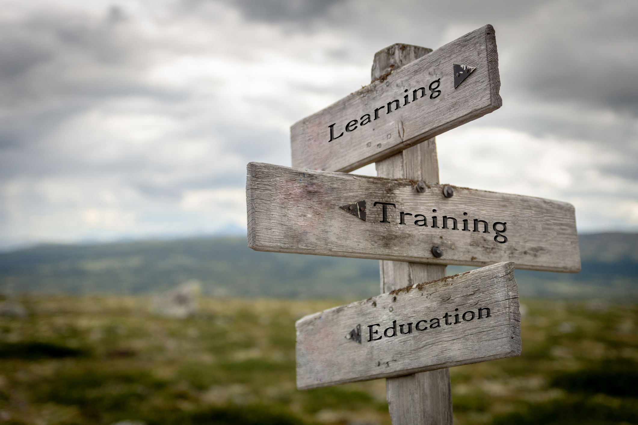 Outreach and Training